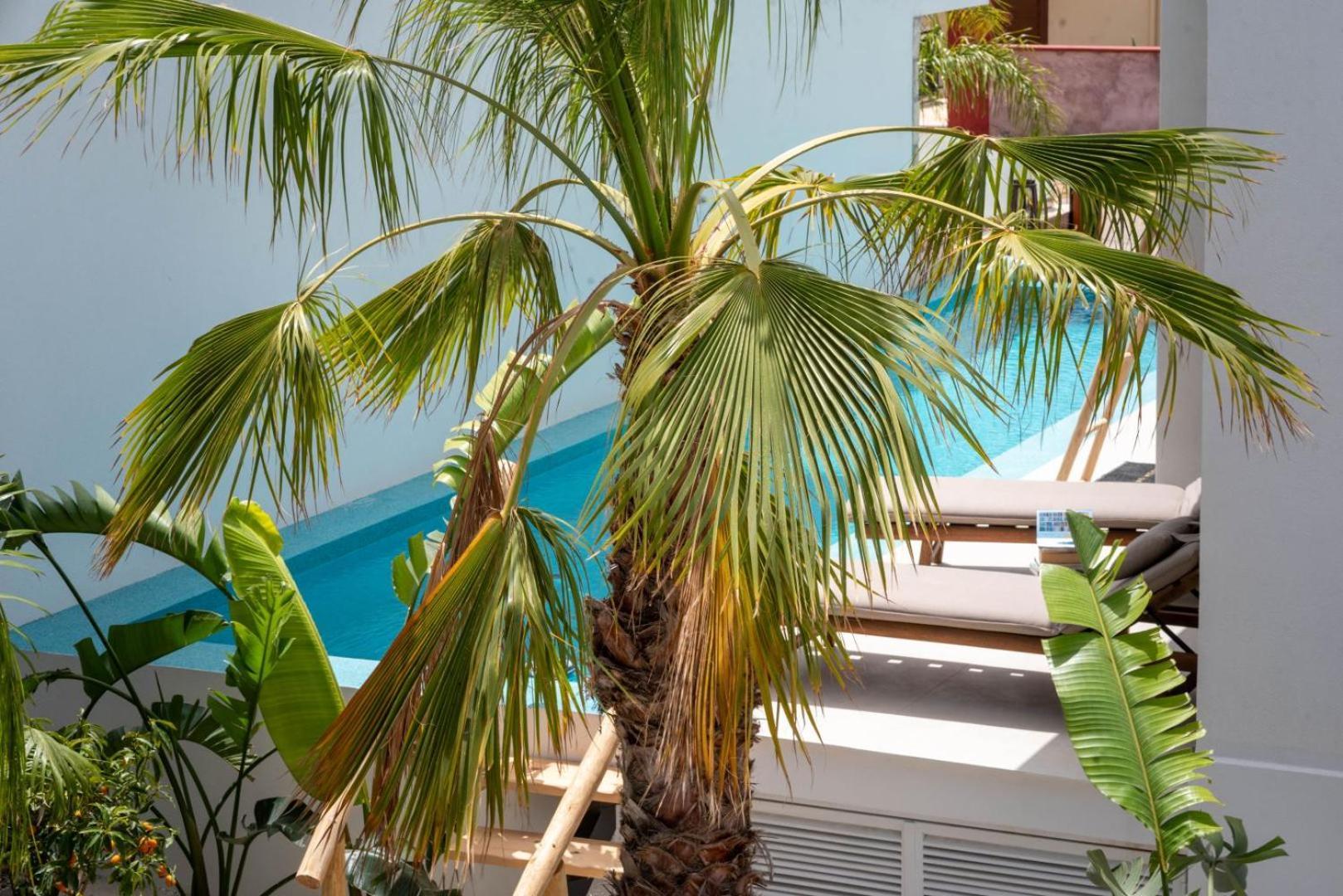 D Palm Premium Living - Kalathas, Chania Chania  Ngoại thất bức ảnh